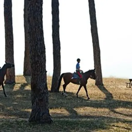 Pinewood Róma