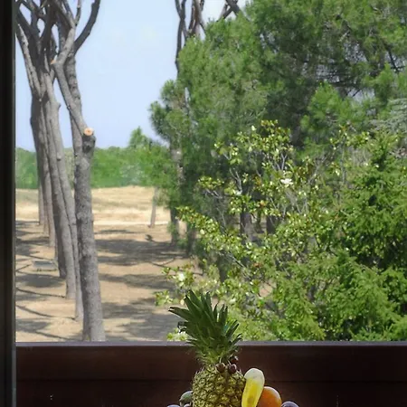 Pinewood Ρώμη